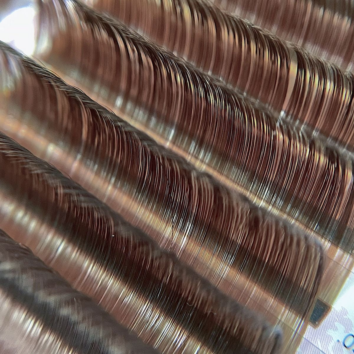 Cocoa Collection