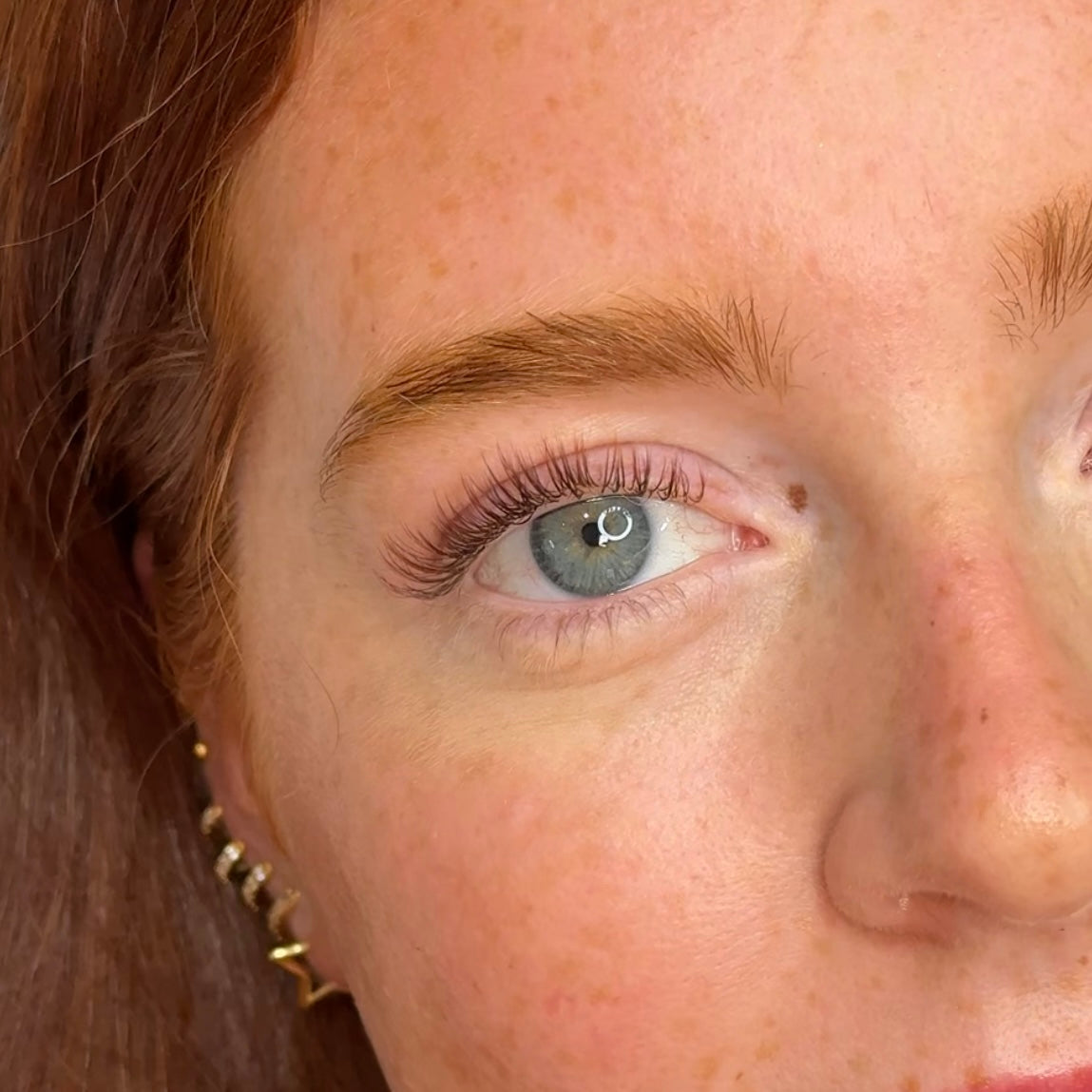 Chestnut Collection (Limited Edition)